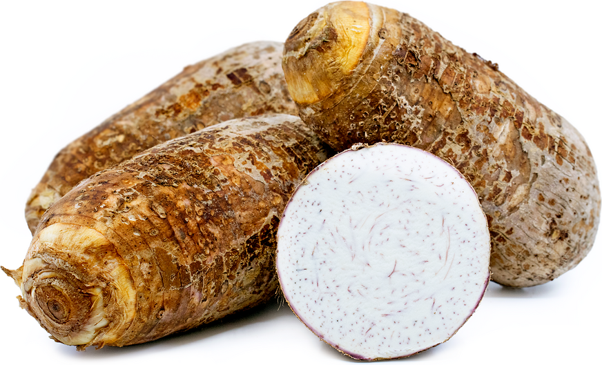 Big Taro Root Information and Facts