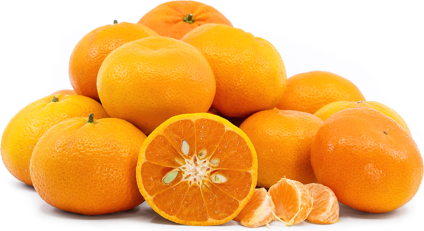 Tangerines – Noble Citrus