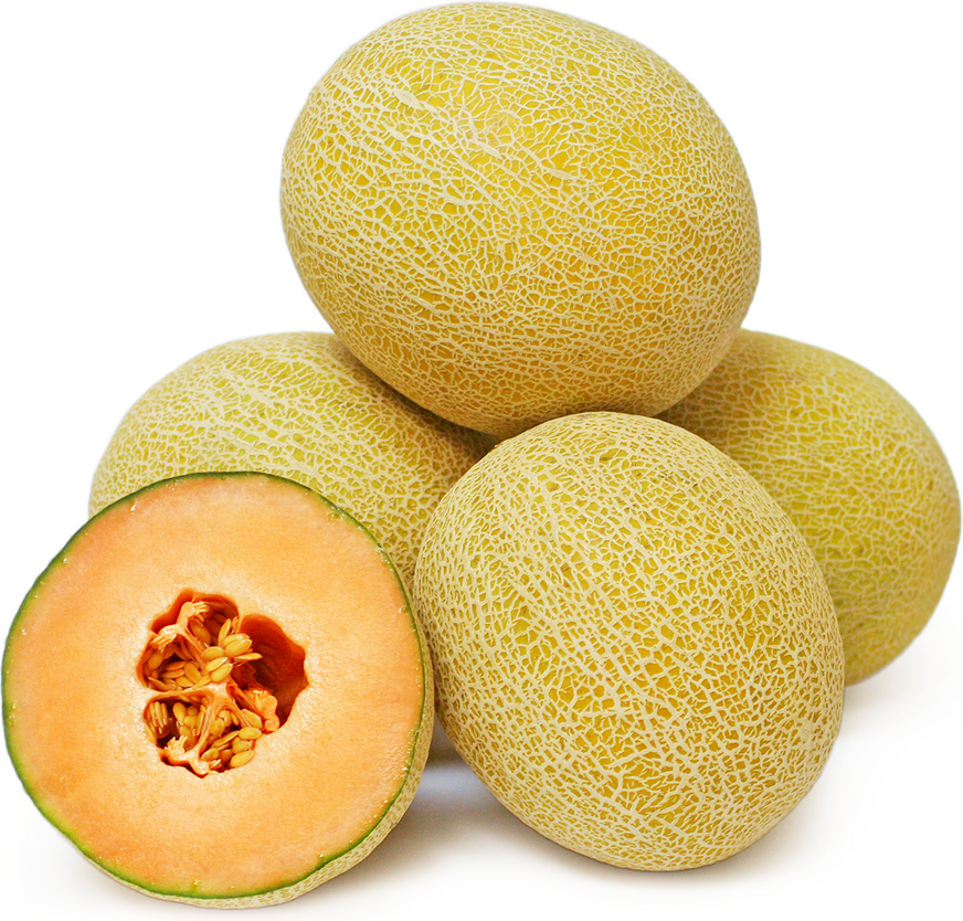 MAG.nificent® Melons picture