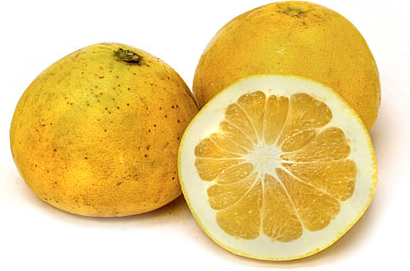 Melogold Grapefruit Information, Recipes and Facts