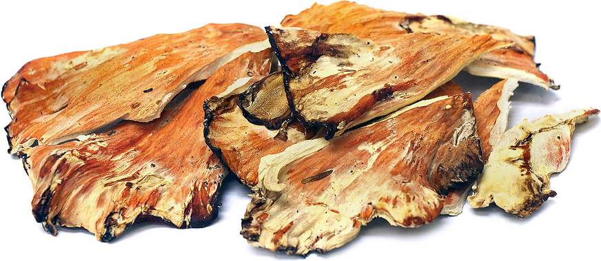 Dried Chicken of the Woods picture