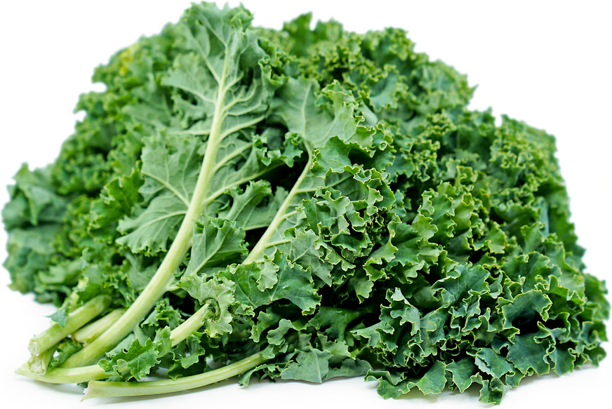 Green Kale picture