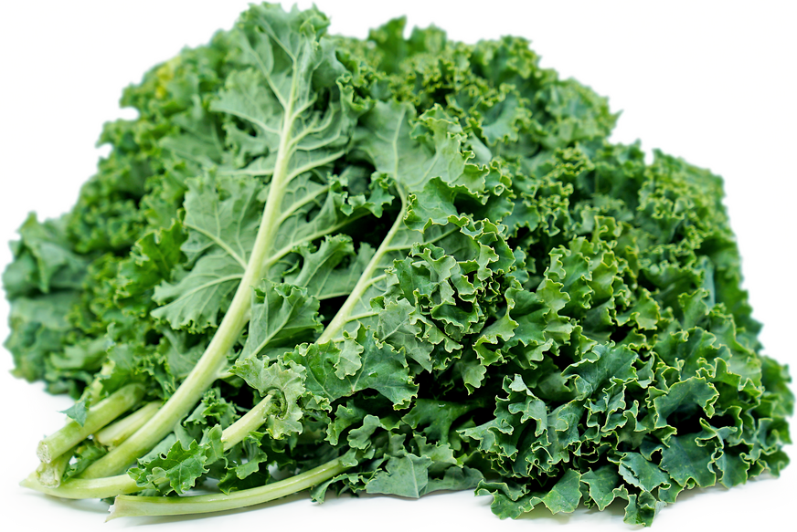 Green Kale Information and Facts