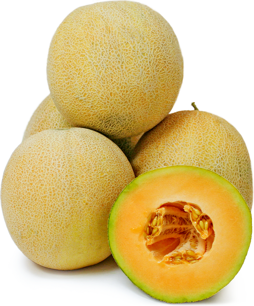 Persian Melon picture