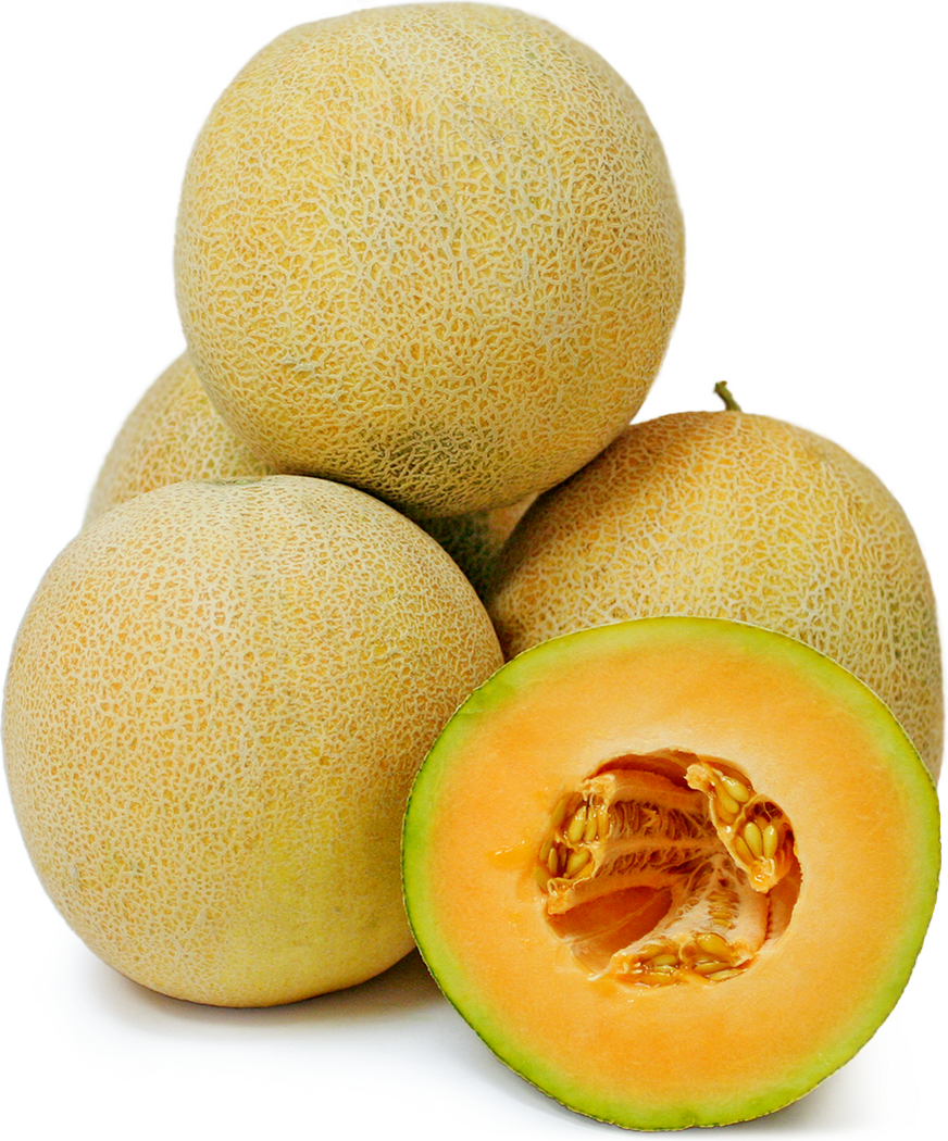 Persian Melons picture