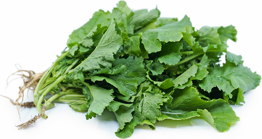 Rapini picture