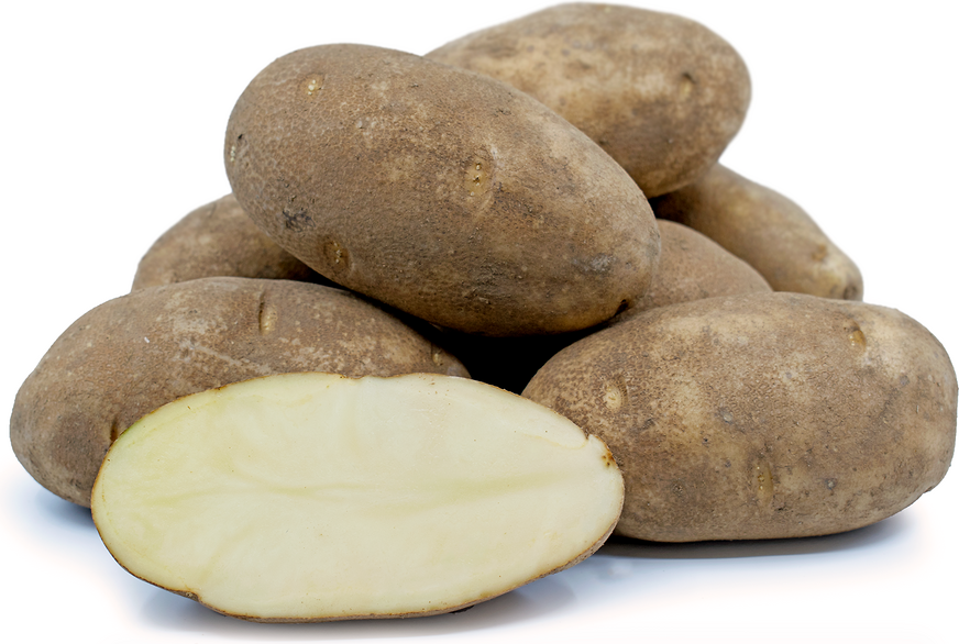 Russet Potatoes