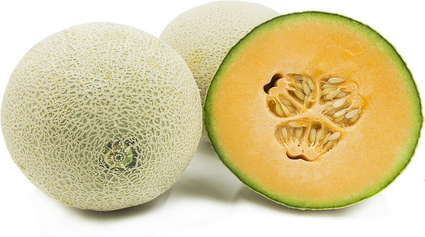 Cantaloupe Melon Information and Facts