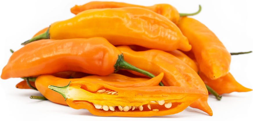 Aji Amarillo Chile Pepper Information, Recipes and Facts