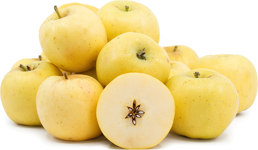 Windrose Gold Apples picture