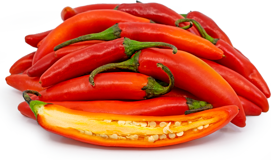 Red Serrano Chile Peppers picture