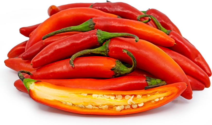 Red Serrano Pepper