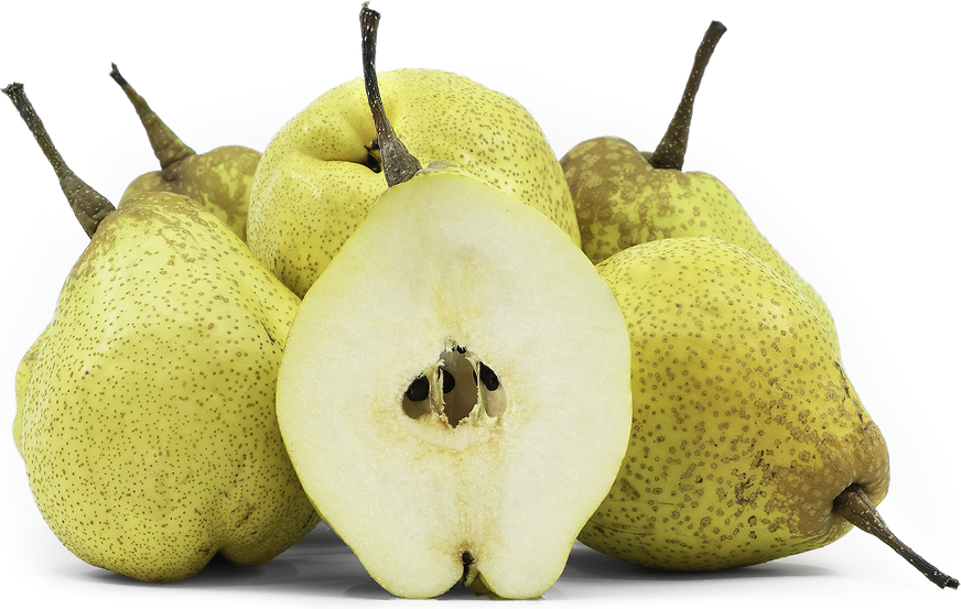 Tsu-Li Asian Pears picture