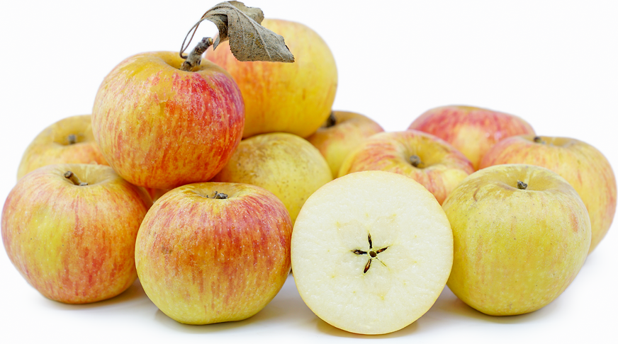 Cox's Orange Pippin Apples Information and Facts