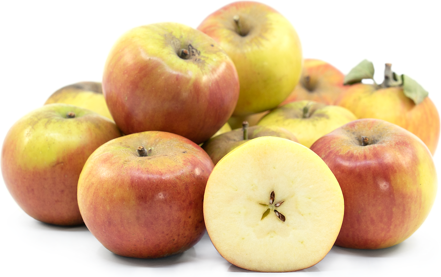 Pippin Apples Information and Facts