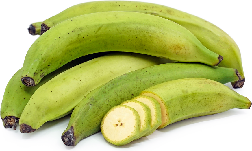 Green Plantain Bananas Information, Recipes and Facts