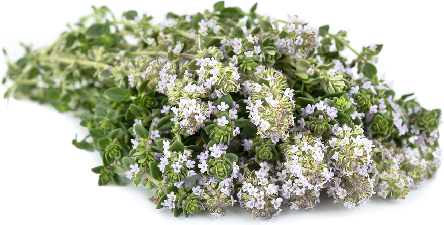 Thyme Blossoms picture