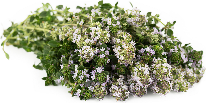 Thyme Blossoms picture