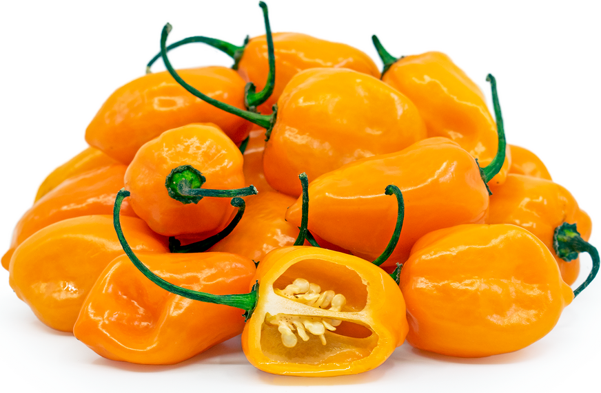 Orange Habanero Chile Peppers Information, Recipes and Facts