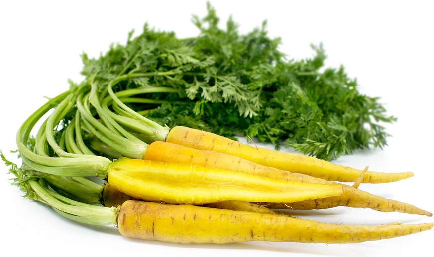 Baby Yellow Bunched Carrots Information Recipes And Facts