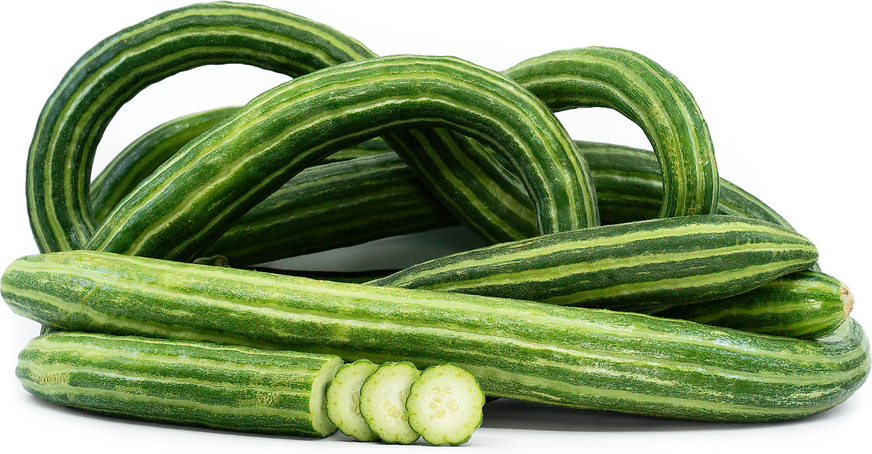 Armenian Cucumber picture