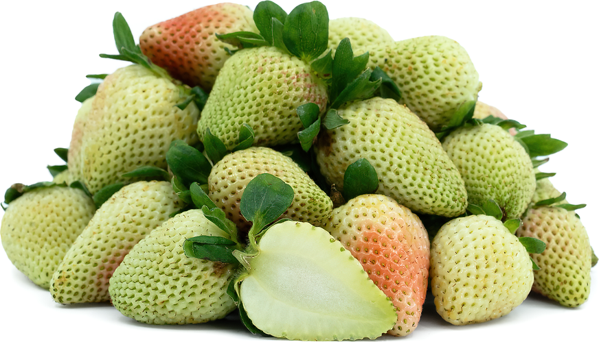 Green Strawberries Information and Facts