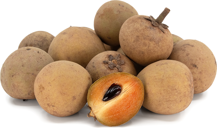 Sapodilla Information and Facts