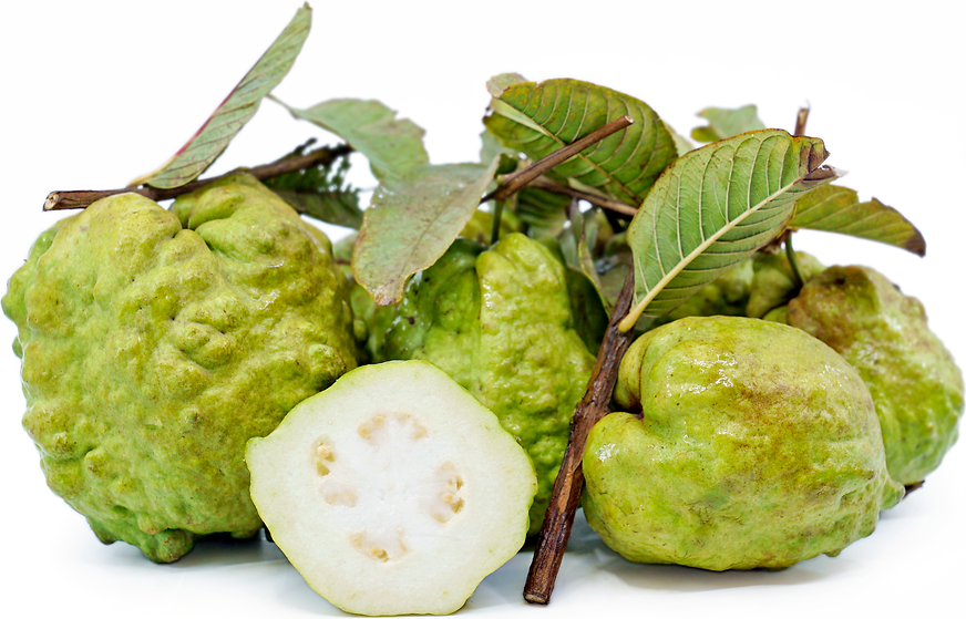 Thai Guavas picture