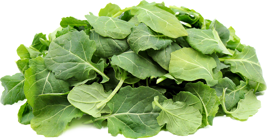 Baby Kale Information Recipes And Facts