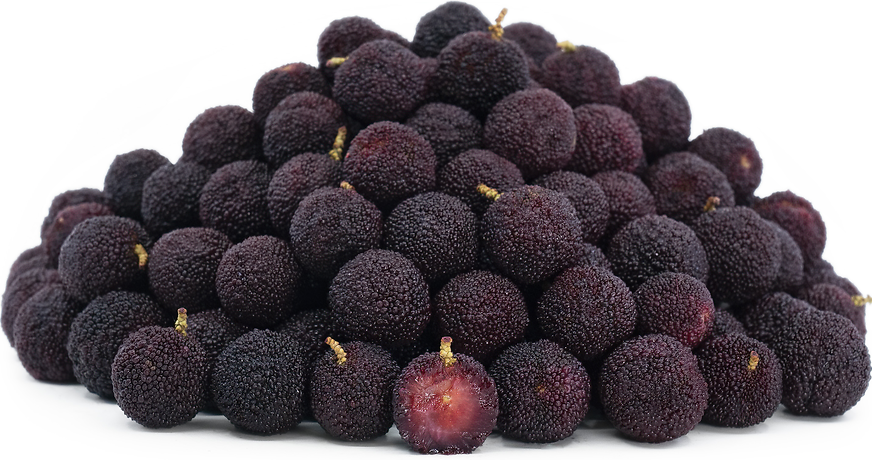 Waxberries Information and Facts