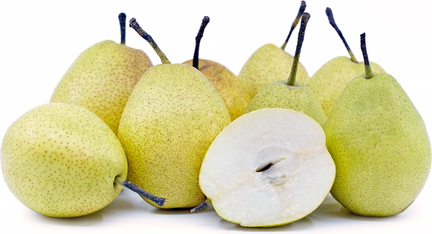 Fragrant Pears picture
