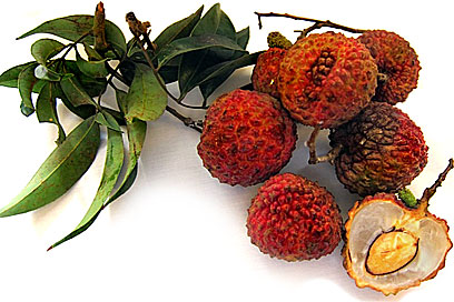Chinese Lychees picture