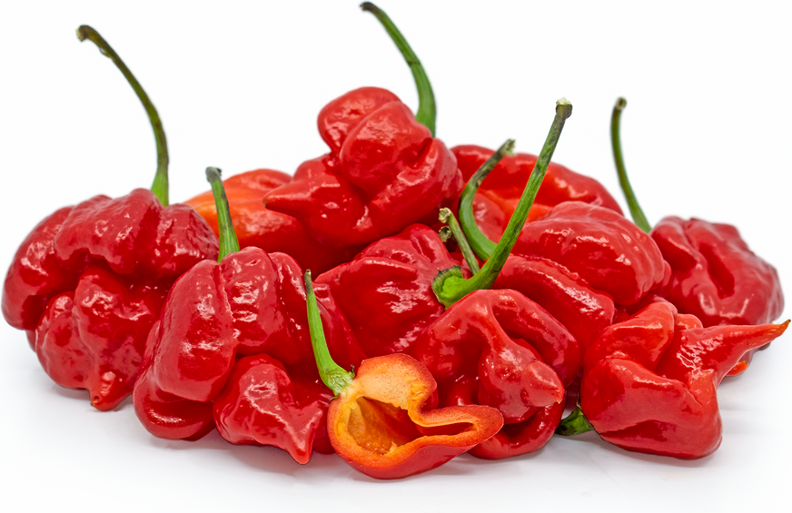 Red Scorpion Chile Peppers picture