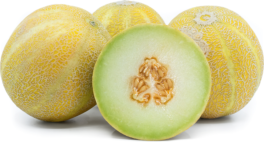 Lemon Drop Melons picture