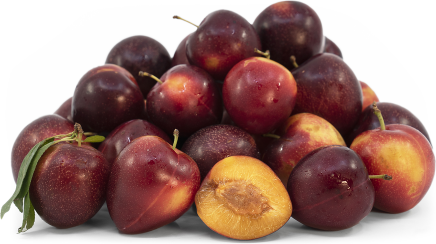 Cherry Plums Information and Facts