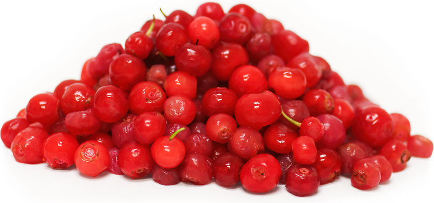 Red Huckle Berries picture