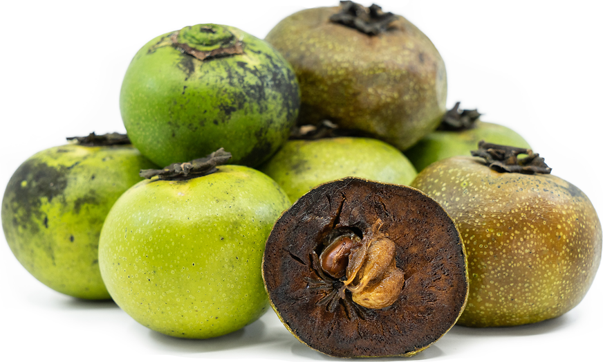 Black Sapote Information, Recipes and Facts