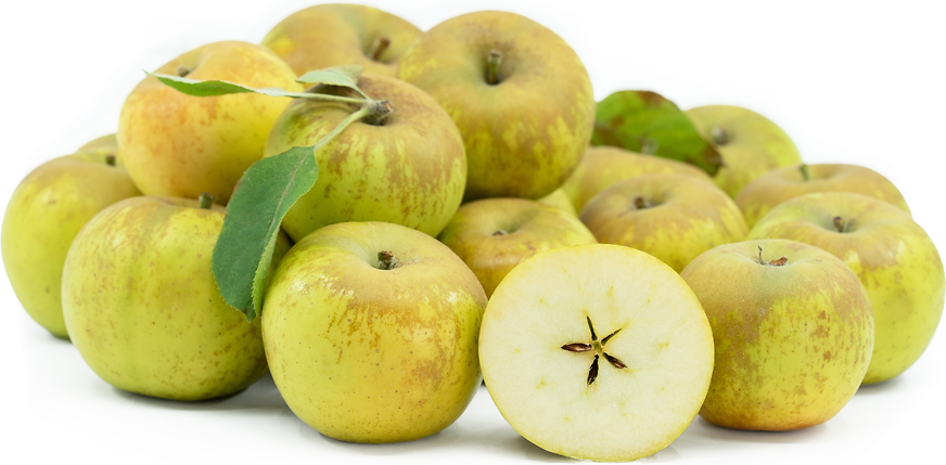 Golden Russet Apples picture