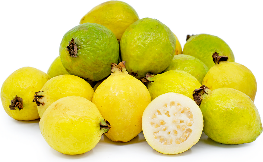 Guavas picture