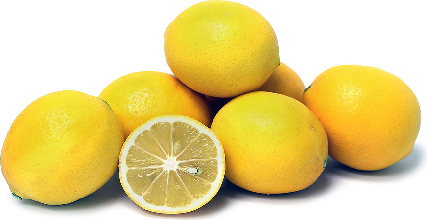 Meyer Lemons Information and Facts