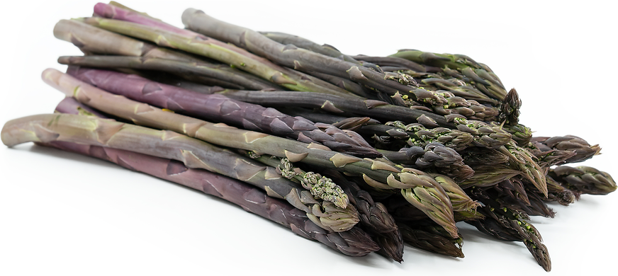 Asparagus Purple picture