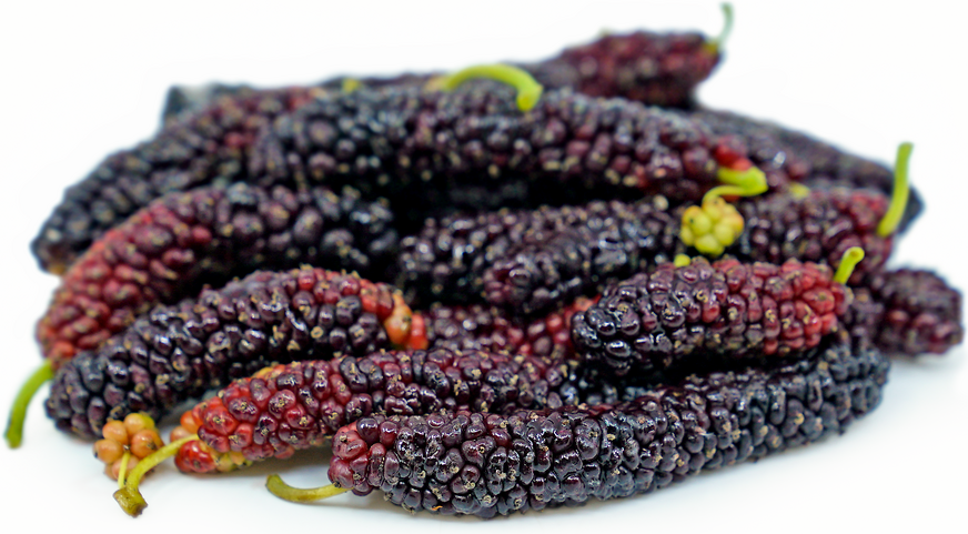 Pakistan Mulberry picture