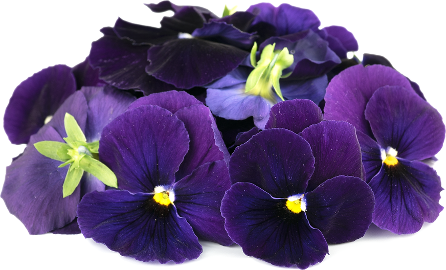 Purple Pansy Flowers picture