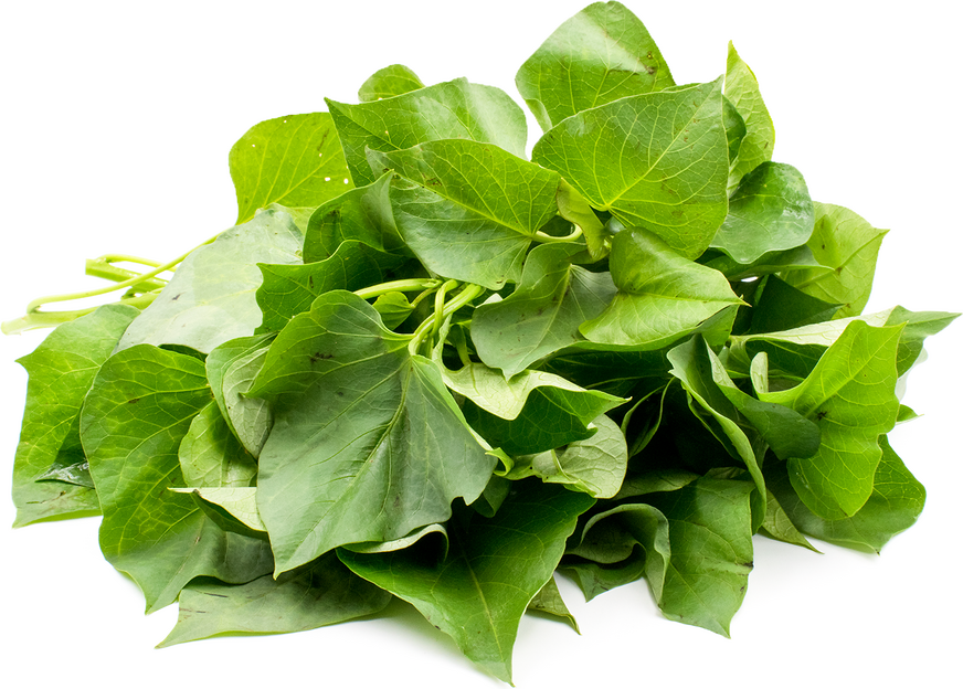 Yam Leaves picture