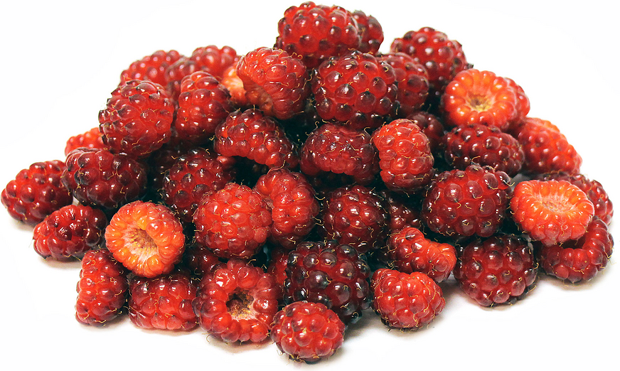 Murray Berries picture