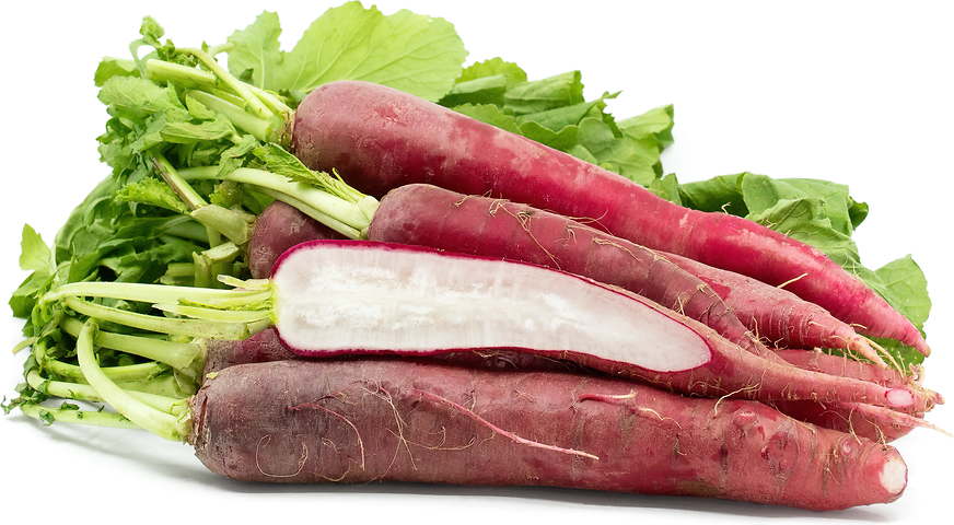 Ostergruss Radish picture