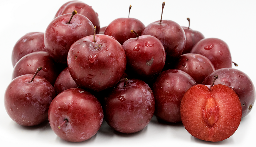 Burgundy Plums Information and Facts