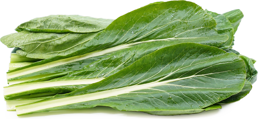 Mustard Greens Information and Facts