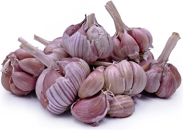 Ajo Rojo Garlic picture