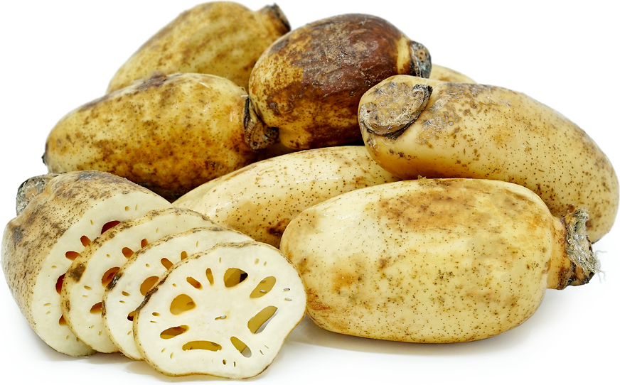 lotus-root-information-recipes-and-facts